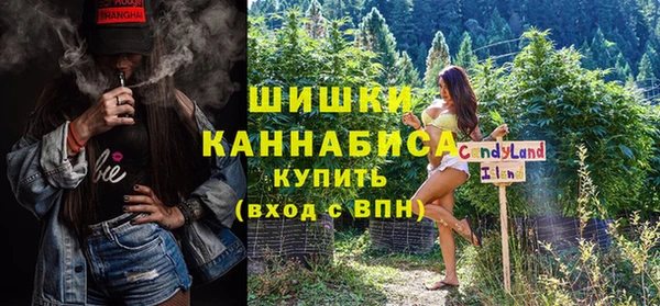 Альфа ПВП Бугульма