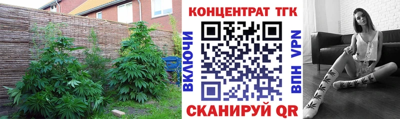 ТГК вейп с тгк  как найти наркотики  Волгореченск 